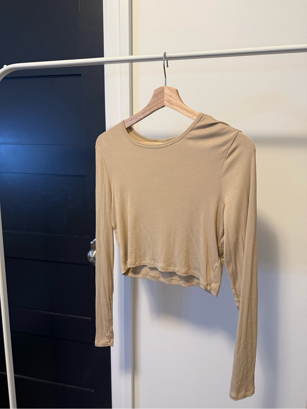 Aritzia Sunday Best - Long Sleeve Cropped Top in Beige